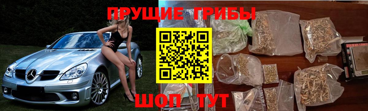 Люберцы  Псилоцибиновые грибы MAGIC MUSHROOMS  Вход с VPN 